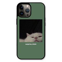 Чехол &laquo;Surprise&raquo; на iPhone 12 Pro Max арт.1722