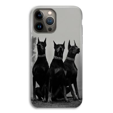 Чехол «Dobermans» на iPhone 12 Pro Max арт. 2478