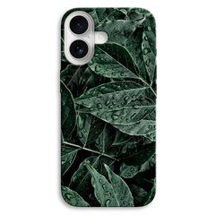 Чехол &laquo;Green leaves&raquo; на iPhone 17 арт.1322