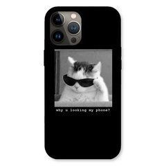 Чехол &laquo;Why are you looking?&raquo; на iPhone 13 Pro арт.2250